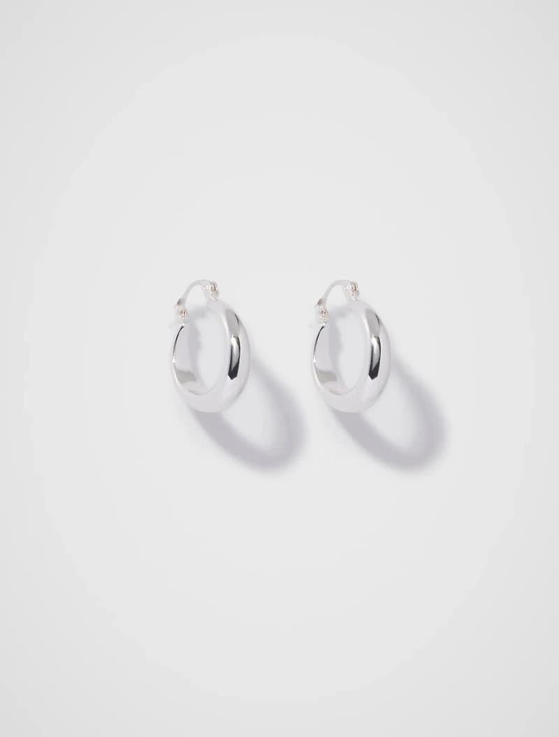 Dionne Hinge Hoop Earrings